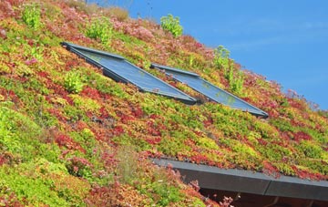 Upper Holton living roof systems